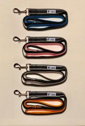 Double handle reflective leash Blue - Default