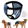 Dog Physiological Pants Pet Diaper Sanitary Underwear Washable For Puppy Small Middle Large Dog - Black - M