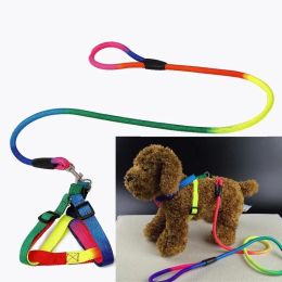 1 Set Nylon Rainbow Pet Dog Collar Harness Leash Soft Walking Harness Lead Colorful and Durable Traction Rope 120cm - iridescent - S