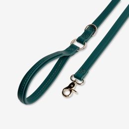 Jump Around - Luxury Waterproof Durable Dog Leash - Jungle Green