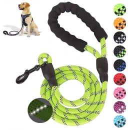 Pet Leash Reflective Strong Dog Leash 1.5M Long with Comfortable Padded Handle Heavy Duty Training Durable Nylon Rope Leashes - Blue