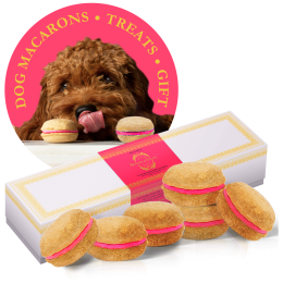 Dog Macarons - Count of 6 (Dog Treats | Dog Gifts) - Rose