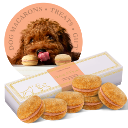 Dog Macarons - Count of 6 (Dog Treats | Dog Gifts) - Pumpkin