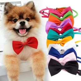 Dogs Accessories Pet Kawaii Dog Cat Necklace Adjustable Strap for Cat Collar Pet Dog Bow Tie Puppy Bow Ties Dog Pet Supplies - White